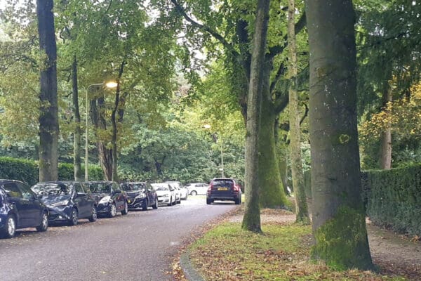 Gemeente wil een parkeerverbod invoeren op een deel van Socrateslaan
