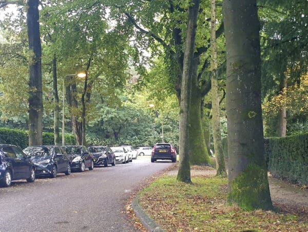 Gemeente wil een parkeerverbod invoeren op een deel van Socrateslaan